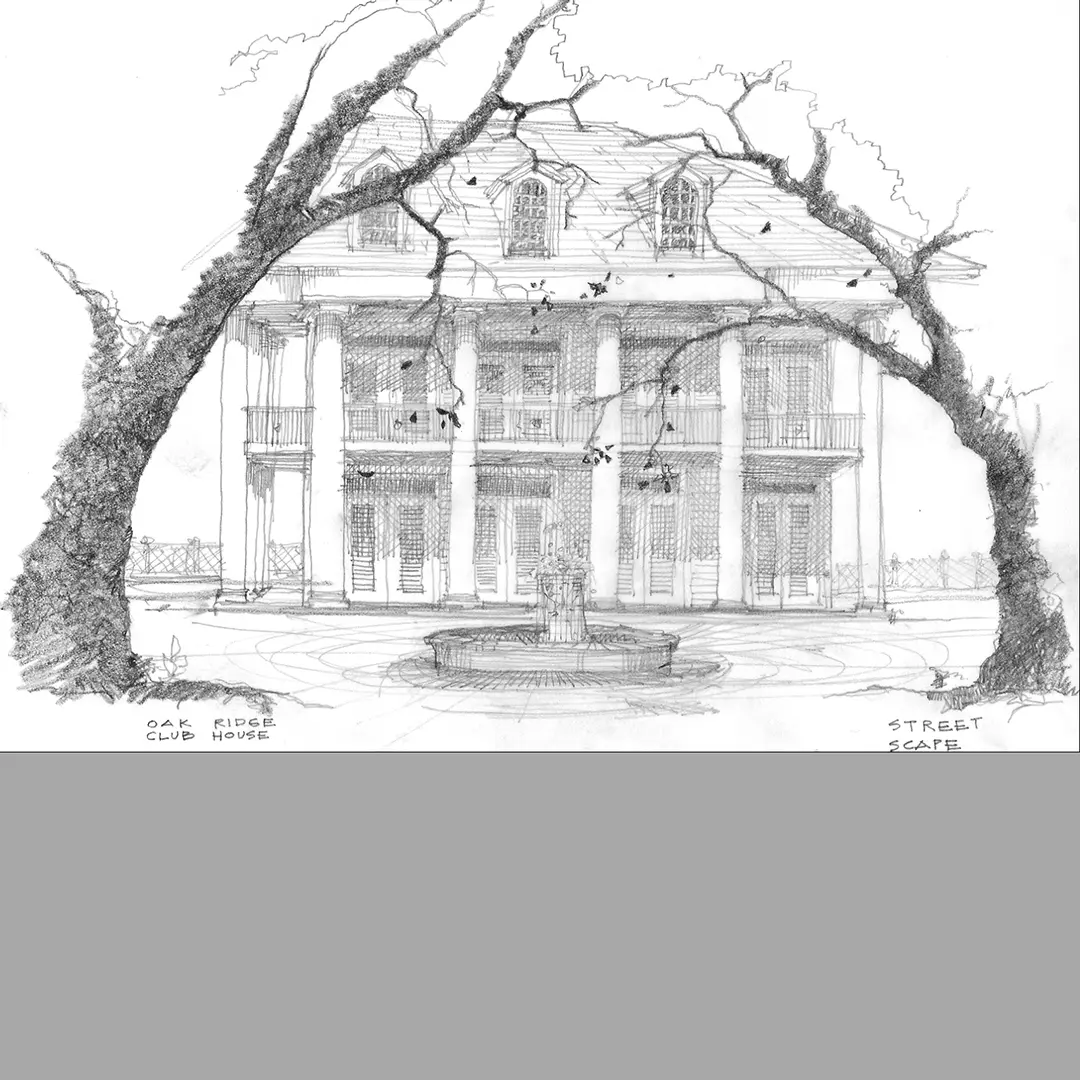 Pencil sketch of two trees with building behind